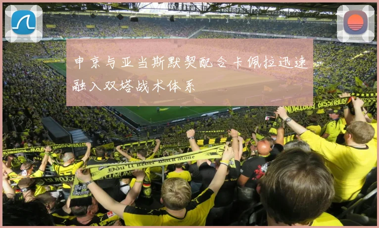 申京与亚当斯默契配合卡佩拉迅速融入双塔战术体系